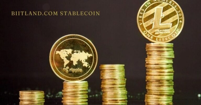 biitland.com stablecoins